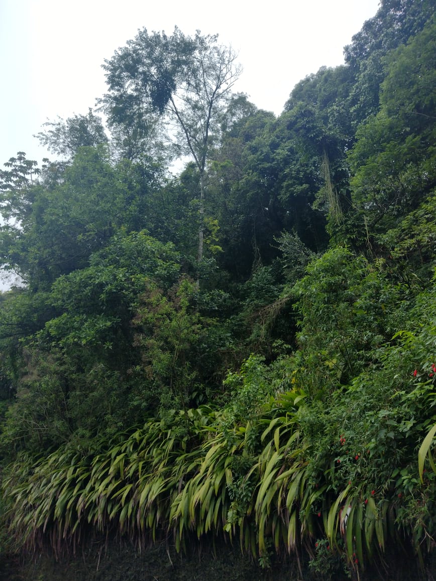 WhatsApp Image 2021-11-03 at 09.24.59.jpeg